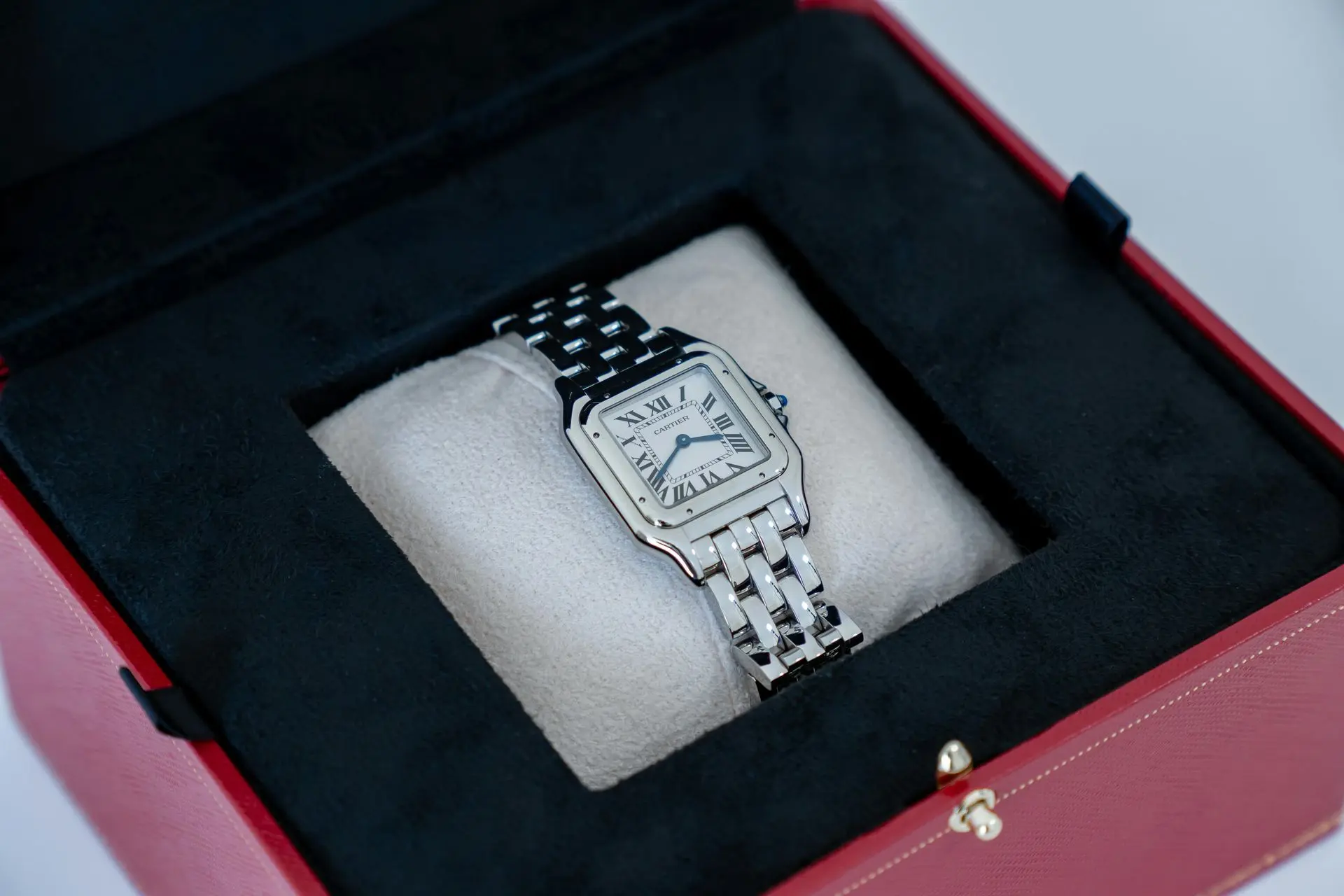 Luxury watch display box with soft velvet cushion interior protecting a stainless steel watch