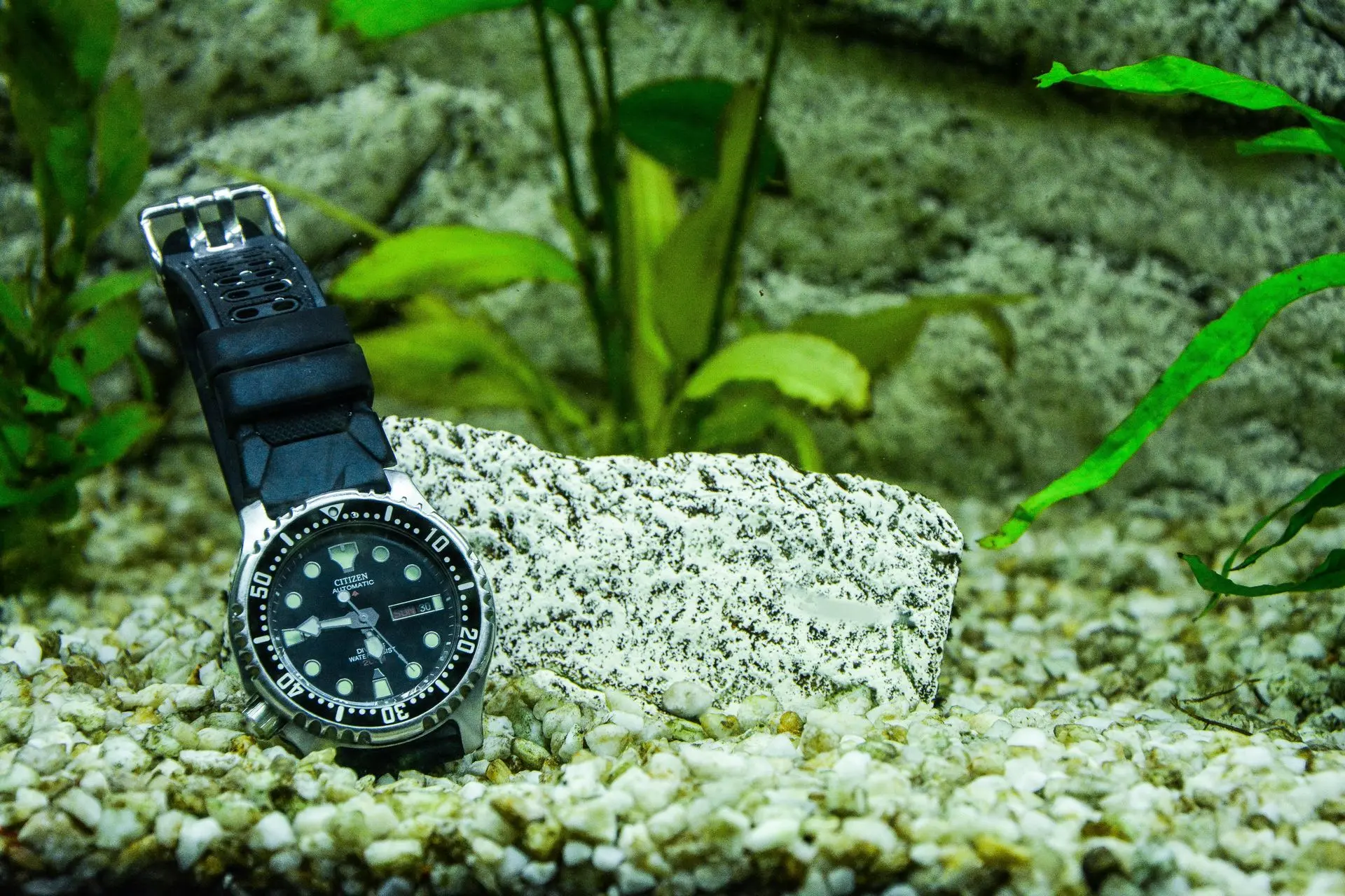 Citizen Automatic Dive Military Watch Citizen automatic dive military-style watch underwater with black rubber strap