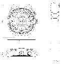 Leizeit_Assembly_for Odoo.webp